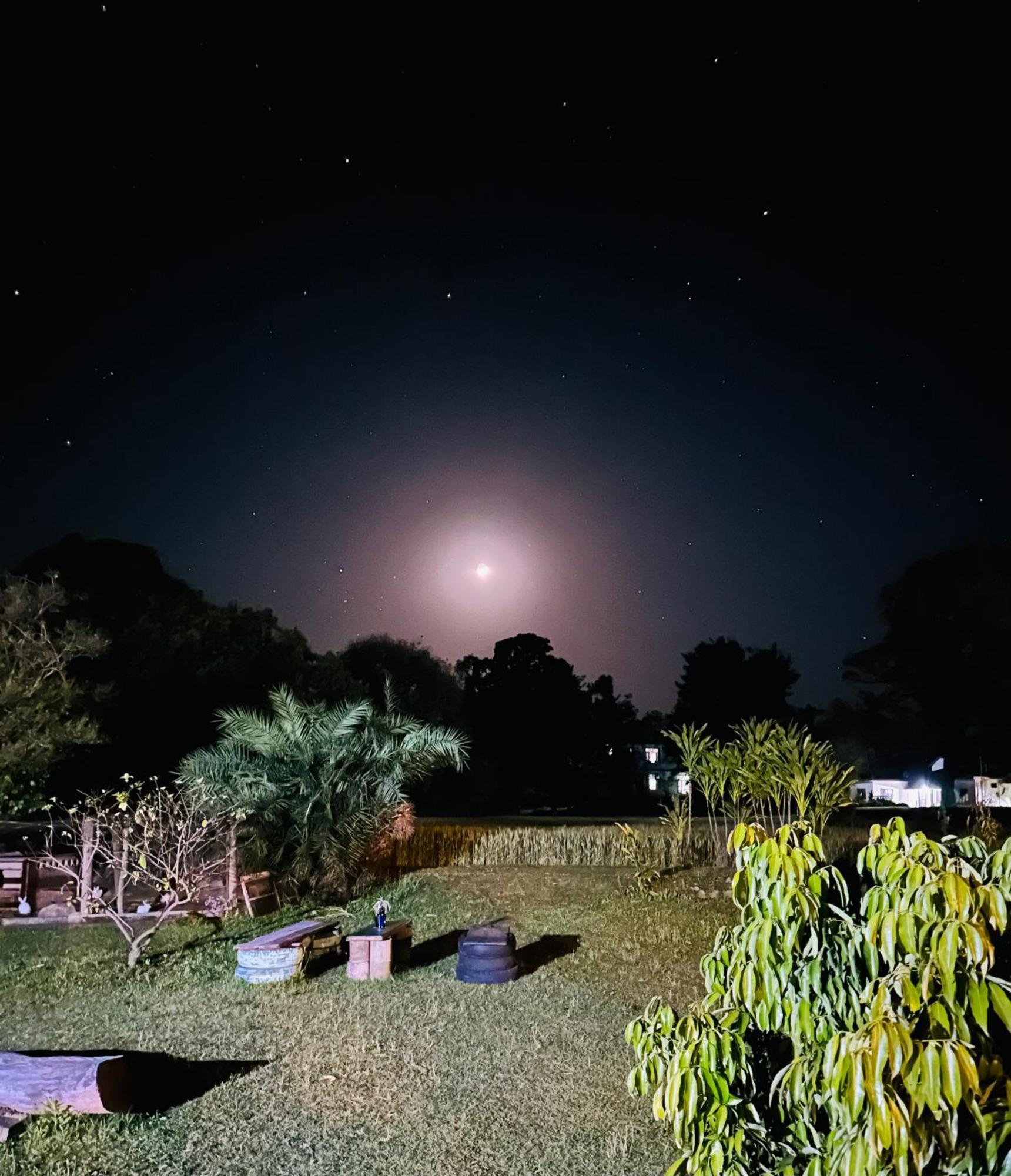 Dreamwoods A Travellers Farm Hostel Dharamshala Exterior photo