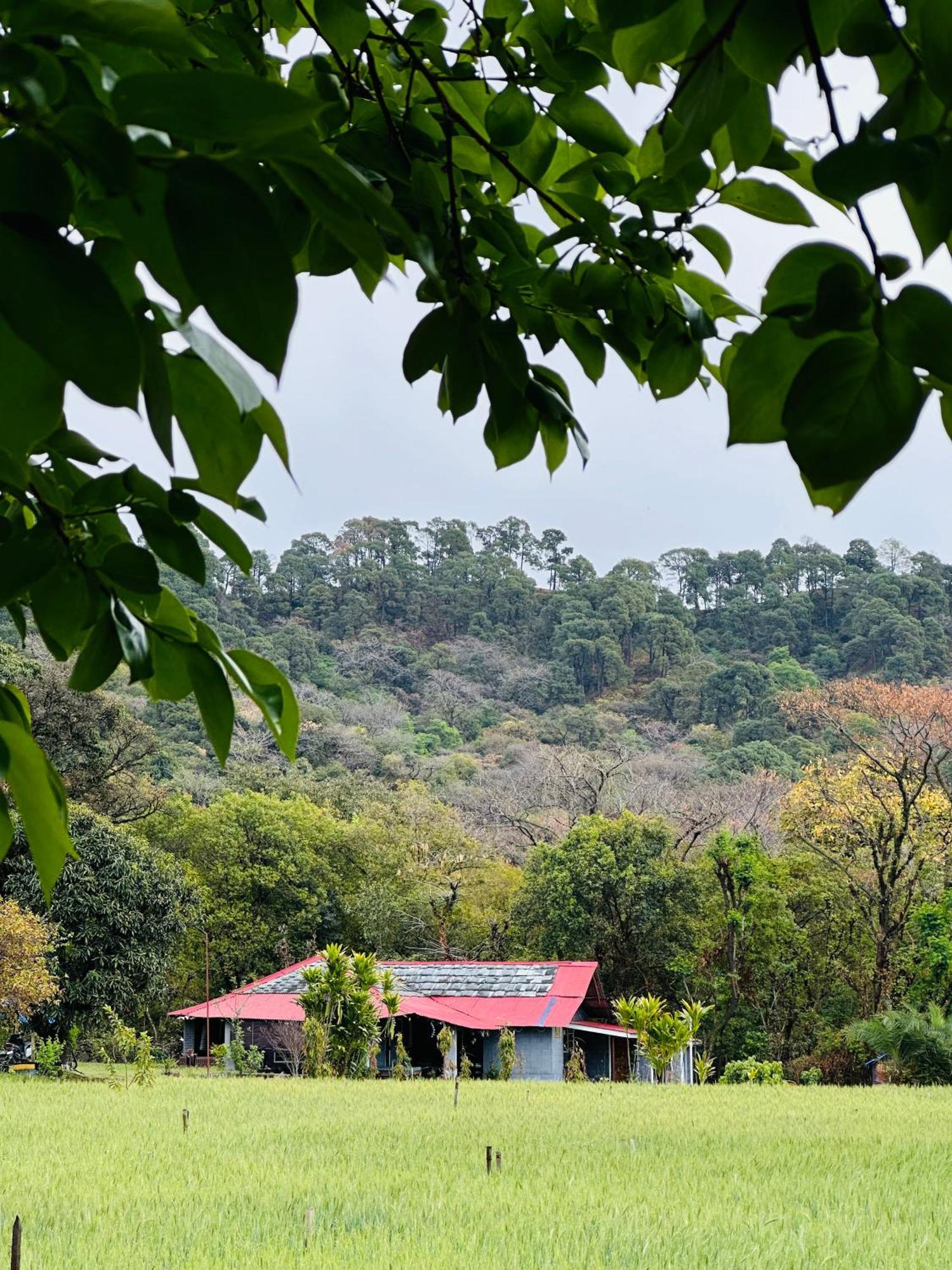 Dreamwoods A Travellers Farm Hostel Dharamshala Exterior photo